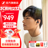 森海塞尔（Sennheiser）IE900/IE600/IE300旗舰级HIFI高保真超宽单动圈单元可拆卸MMCX挂耳式耳机 高保真发烧有线耳机耳塞 IE200 【热款HIFI高保真】