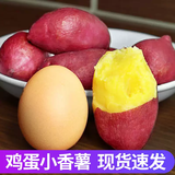 山海言新鲜现挖正宗临安天目山小香薯烤板栗红薯番薯根茎类地瓜源头直发 小香薯 鸡蛋果5斤装 【单果1-3两】