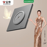 公牛（BULL）开关插座G57蝶翼超薄系列空白板带堵洞遮丑进出线孔G57B104远山灰