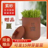 甘泉村春节送礼紫砂豆芽罐全自动家用豆芽机生豆芽发芽神器土陶四季可用 小款紫砂豆芽罐（发2斤豆芽）