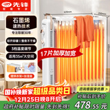 先锋（SINGFUN）石墨烯取暖器电暖器电暖气片家用电热油汀17片全屋升温智能恒温低噪加厚宽片烘衣加湿DYT-Z21pro