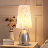 欧柏图 LED触摸调光感应台灯卧室床头灯 简约现代创意极简阅读装饰灯 银色 触摸调光 4瓦LED 触摸开关