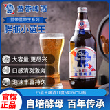 蓝带（Blue Ribbon）小蓝王啤酒 11度640ml*12瓶整箱装