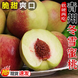 正宗青州冬雪蜜桃当季新鲜水果正宗山东现摘脆甜青红毛桃冬桃大果 净重4.5斤【单果60g+】