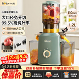 小熊（Bear）榨汁机 原汁机渣汁分离 多功能家用全自动冷压榨果汁橙汁压榨器果蔬机110mm口径F02E3【国家补贴】