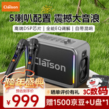CLAISON T187无线蓝牙音箱户外K歌便携蓝牙音响一体机大喇叭大功率立体声重低音炮混响带2个麦克风 锖色