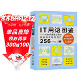 IT用语图鉴it用语AI时代需要了解的信息技术相关词汇256  chatgpt聊天机器人人工智能时代it计算机科普图书 一本书了解AI时代常用的IT术语（双色版） deepseek教程