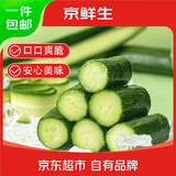 京鲜生&三个零 宁夏一休水果黄瓜净重3斤单果60g+ 新鲜蔬菜 源头直发