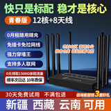 随U行随身wifi无线移动路由器4g5g无线宽带上网卡无限速不拉网线免装宽带家用商铺农村新疆西藏云南可用 【青春版】12核+8天线