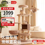 兽牌森林猫爬架大型猫树猫窝一体豪华剑麻猫架太空舱缅因大猫暖冬适用 森林【经典款】
