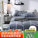 艾薇 A类水洗棉磨毛床单单件  双人家用被单床单 格调时代 230*250cm