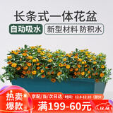花沃里长方形花盆带托盘 阳台种菜盆种植箱种子育苗盘大花盆长条一体盆