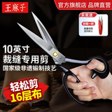 王麻子剪刀裁缝剪 裁缝专用裁剪布料工业大剪刀缝纫剪子 黑色经典防锈【10英寸】