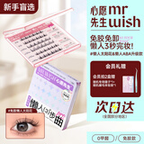 免胶假睫毛懒人三步曲ABA太阳花升级款自粘假睫毛太阳花+升级款