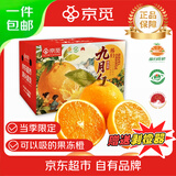 京觅秭归九月红果冻橙子爆汁净重4.5斤单果170g+新鲜水果源头直发包邮