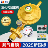 海立液化气减压阀煤气罐灶家用新国标0.6瓶装防爆管低压安全阀门RJ253