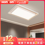 宏光照明（Honkon）现代简约客厅大灯照明LED吸顶灯时尚经典卧室房间灯书房灯 LED-K-88189/大长