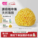OKBABY天然海绵婴儿洗澡海绵宝宝洗澡沐浴球儿童成人洗脸搓澡蜂窝海绵 精选S级群岛型14#【成人洗澡】