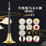 新艺乌木唢呐演奏专业黑檀木唢呐乐器全套初学者入门大小号喇叭 【推荐款】乌木D调金碗+12大赠品