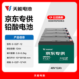 天能电动车电池巡逻车电瓶-（1组4只装/组 48v12ah）