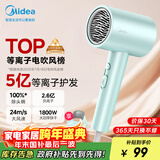美的（Midea）5亿等离子护发电吹风 家用负离子吹风筒 1800W大功率 便携吹风机 家电国家补贴FJ308绿 圣诞节礼物