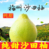 柚满园【纯甜不酸】梅州沙田柚子南福金柚正宗甜碌柚新鲜水果广东梅县 高山老树【本店招牌】带箱9-10斤