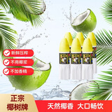 椰树 椰汁 卫星瓶 250ml*6瓶 植物蛋白饮料 海南特产 年货送礼年货