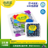 怡颗莓Driscoll's当季新鲜云南蓝莓14mm+ 2盒装 约125g/盒 京东超市水果