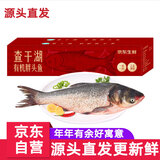 查干湖鱼现货【京东生鲜 年货礼盒】冬捕有机胖头鱼5.5-6.4斤 年年有余