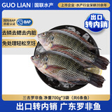 GUO LIAN国联水产 三去罗非鱼6条/4.2斤净重 非洲鲫鱼红烧鱼食材源头直发