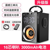 YTFY柏林之声2025年新款蓝牙音响带收音机一体音箱高音质户外广场舞大音量音箱低音炮 升级大电池版带遥控器【蓝牙+插卡+插U盘+收音机】