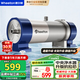 惠尔顿（WHEELTON） 全屋中央净水器系统家用厨下净水器前置过滤器自来水农村井水大流量管道超滤机别墅小区房车商用 UF2厨房/房车够用4000L