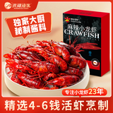 DeYAN德炎麻辣小龙虾900g（4-6钱/只）26年新虾加热即食夜宵聚会