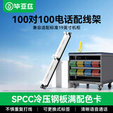 毕亚兹 100对110电话语音配线架 电信工程级镀金版1U机架式 适用机柜理线架 19英寸打线理线器