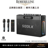 ROBERILLINE德国品牌高端大功率户外K歌音响低音炮电吹管乐器无线蓝牙音箱TWS互联四分频高音质高音量炫彩光效 S1127PLUS【双话筒版】