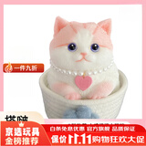搭啵兔安全纯手绘仿生胖猫捏捏乐猫猫水感安全硅胶捏捏软弹解压玩具 1号胖猫（正版） 送编织框
