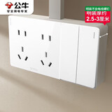 公牛（BULL）明装大板开关插座 G59系列 二开双控十孔开关插座 G59E634