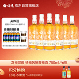 梅见 双梅混调 杨梅风味青梅酒 750ml*6瓶 12度果酒 新老版本随机发