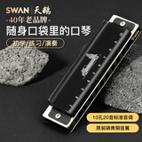 天鹅（SWAN）10孔布鲁斯口琴paddy音C调学生初学者成人演奏推荐口琴黑色