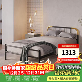 天坛家具铁艺床经典单双人钢木铁床现代环保简约小户型黑白色铁艺婚床 铁艺床（黑色）（不含床垫） 1.5*2.0m