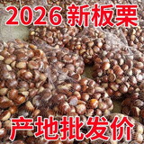 丹东新鲜生板栗野生大板栗现摘新货糖炒油栗毛板栗仁锥栗子整箱 精选装5斤【净重4-4.5斤】