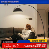 清瑶客厅沙发旁落地灯现代简约北欧全光谱卧室钓鱼灯极简设计感立式灯 护眼款小号178CM三色-大理石底座