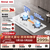 林内（Rinnai）燃气灶家用天燃气莲花火4.5kW双眼定时灶白色嵌入式一级能效 2E06LT(W)