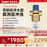 倍世（BWT）进口高端德国净水前置过滤器全铜入户家用反冲洗防爆全屋净水器系统净水机自来水滤水器 【单品】前置Pro（官方包安装）