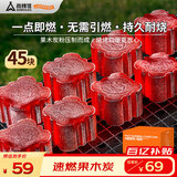 尚烤佳（Suncojia）速燃炭 围炉煮茶炭 烧烤碳 无烟果木炭 烧烤炭 约4.77斤