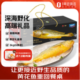 海名威 宁德深海野化黄花鱼礼盒 6斤共6条 年货礼盒 大黄鱼类 源头直发