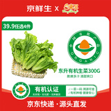 东升 【39.9选4】有机生菜300g 有机蔬菜 火锅食材广东源头直发