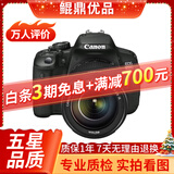 佳能/Canon 500D 600D 700D 800D 850D学生入门拍照摄像高清旅游 二手单反相机 95新 佳能650D/18-135  套机 标配