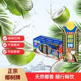 椰树椰汁 330ml*10盒 植物蛋白饮料 正宗海南特产 礼盒装