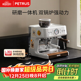柏翠（ petrus ）【政府补贴】意式咖啡机半自动家用奶泡机研磨一体小型双泵牛角手柄PE3899 圣诞礼物